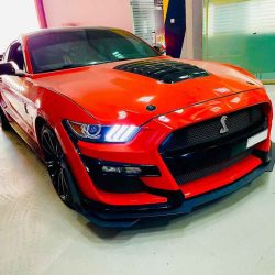 Mustang Detailing