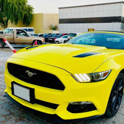 Mustang Detailing