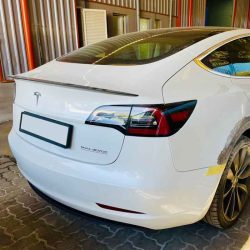 Tesla Detailing