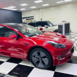 Tesla Detailing Service