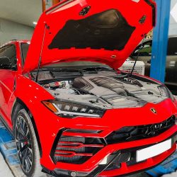 lamborghini oil change service