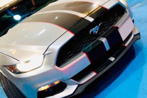 Mustang Detailing (2)