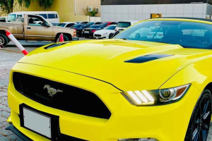 Mustang Detailing