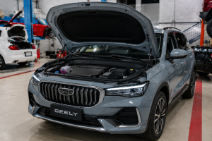 Engine Repair Geely
