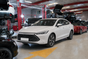 byd car